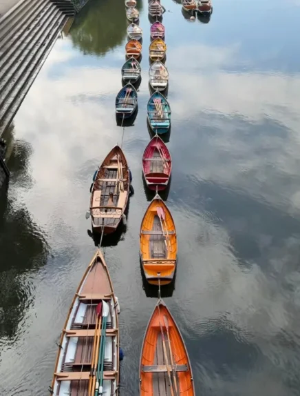The Swan pub, Twickenham