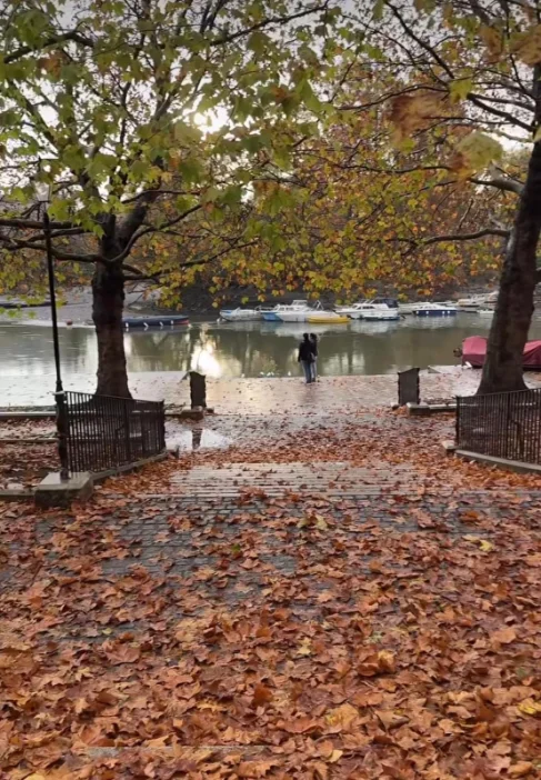 Autumn leaves along the Thames Path riverside in Richmond